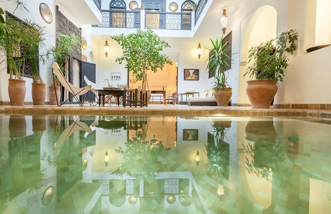 Riad Danka-1