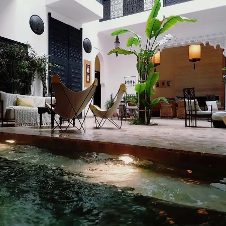 Riad Danka-2